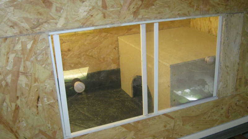 Terrarium en construction pour cet hiver Img_0714