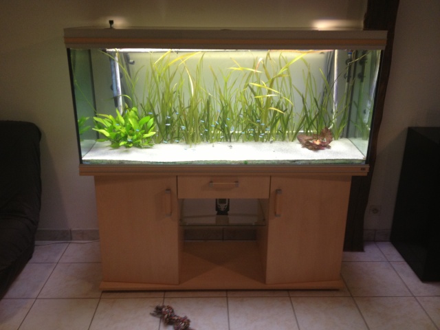 aquarium et minifishroom Aqua5210