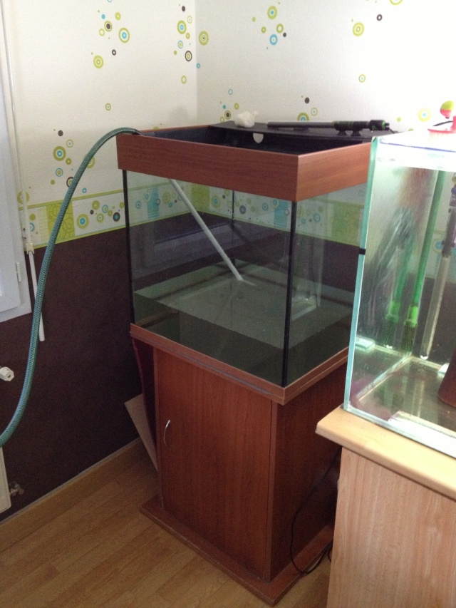 aquarium et minifishroom Bac_re10