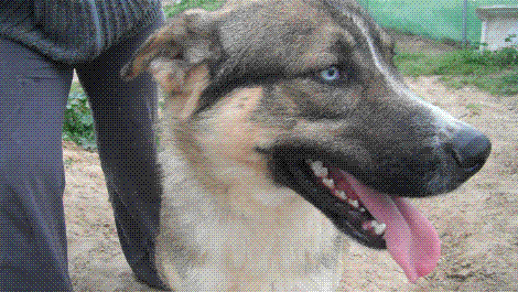 TREVIS adopter !!! Att59410