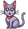 Catz Catz