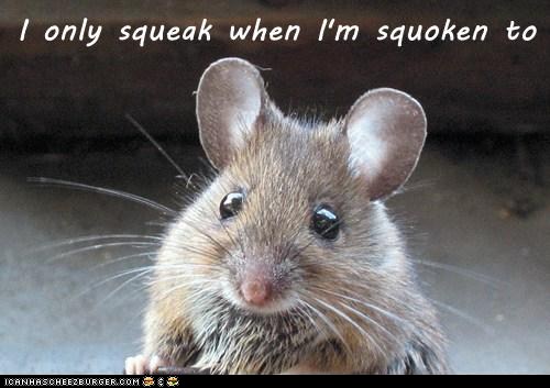 Funny Animal Photos - Page 14 Mouse11