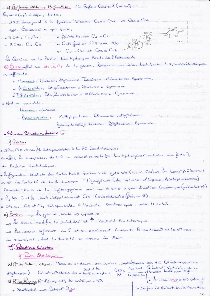 Cours (Pharmacognosie) (2010/2011) - Page 13 Img_0013