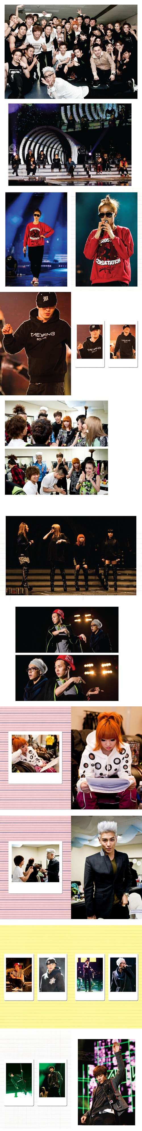 [Info] YG lanzará un Photobook del YG Family Concert 2010 Yggg10
