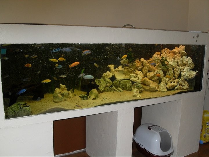 [VENDU] Aquarium 1300L (Gard) 18834010