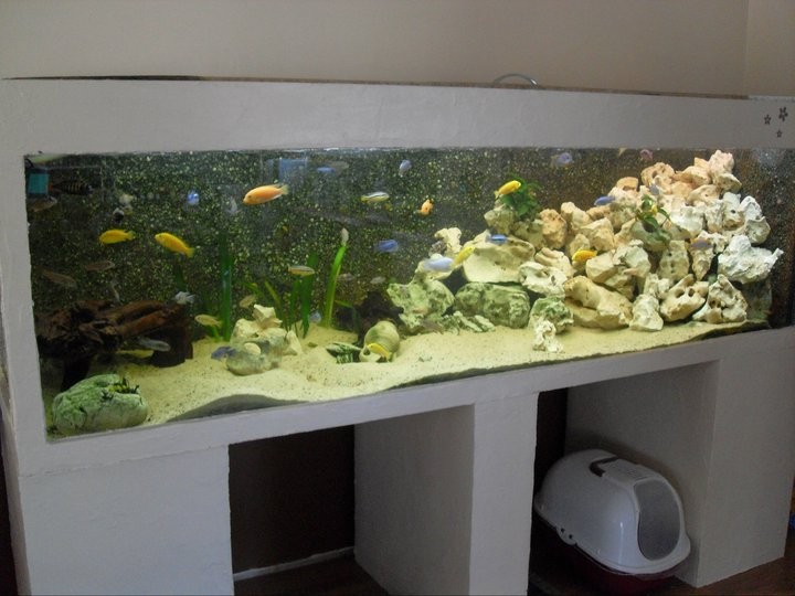 [VENDU] Aquarium 1300L (Gard) 25475110