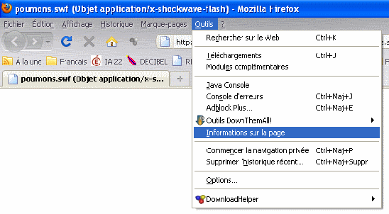 RECUPERER UN FICHIER SWF SUR UNE PAGE WEB AVEC FIREFOX Flash011