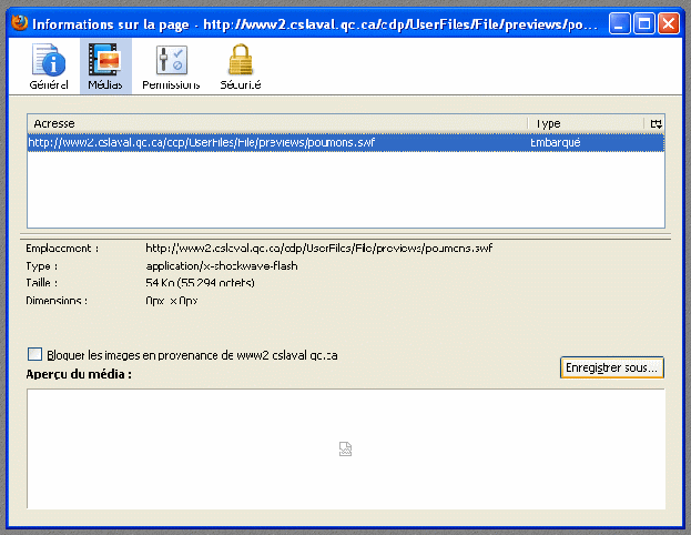 RECUPERER UN FICHIER SWF SUR UNE PAGE WEB AVEC FIREFOX Flash012