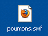 RECUPERER UN FICHIER SWF SUR UNE PAGE WEB AVEC FIREFOX Flash014
