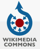 BANQUE D'IMAGES Wiki10