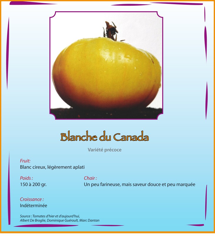 Blanche du Canada Blanch12