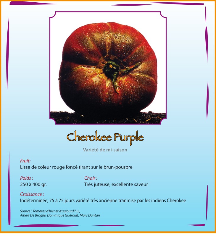 Cherokee Purple Cherok10
