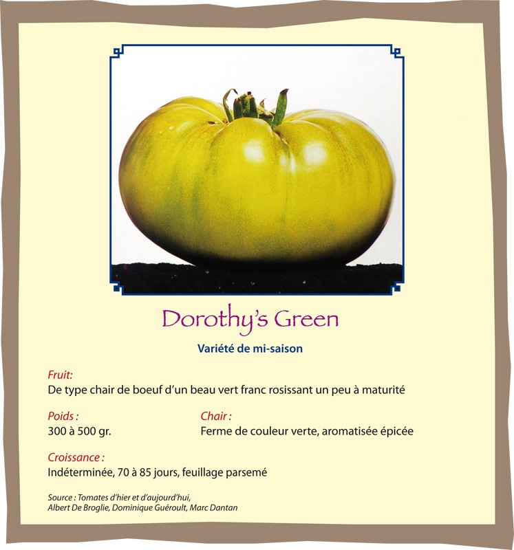 Dorothy's Green Doroth10