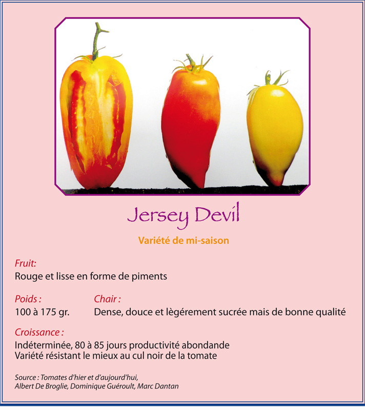 Jersey Devil Jersey10