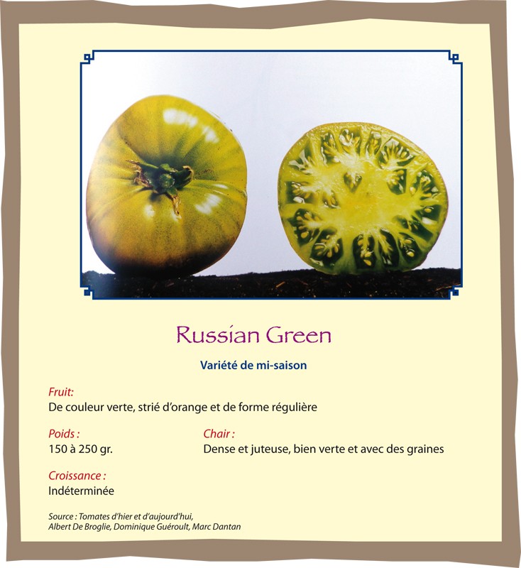 Russian Green Russia12