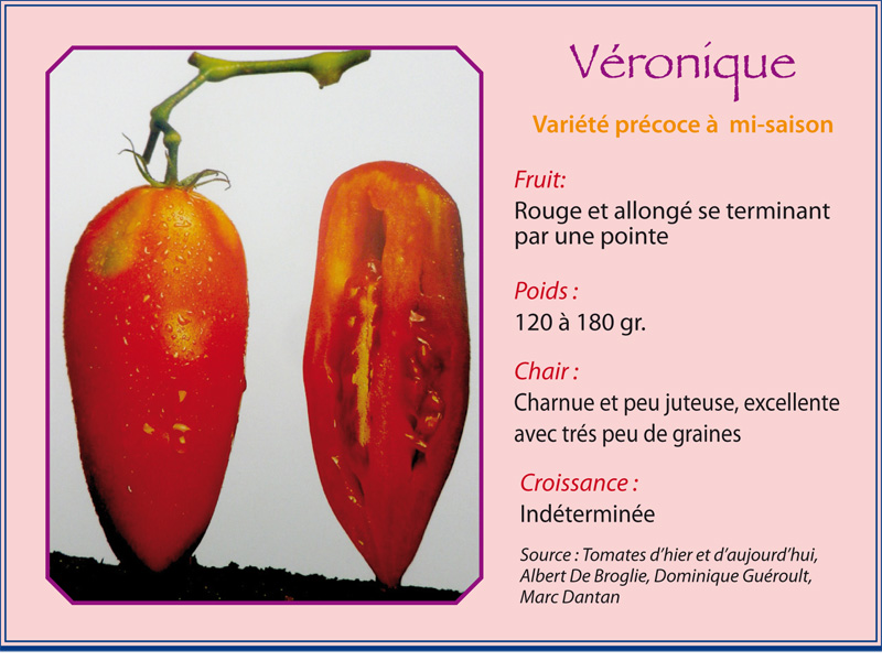 Véronique Varoni10