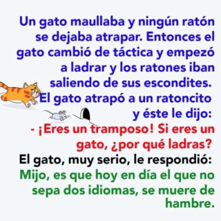 Chistes divertidos  - Page 5 6117d710