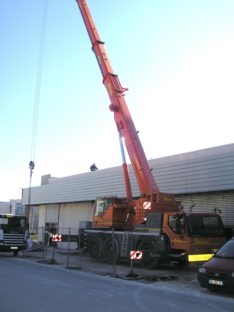 Les grues de ADAM (France) Mes_im17