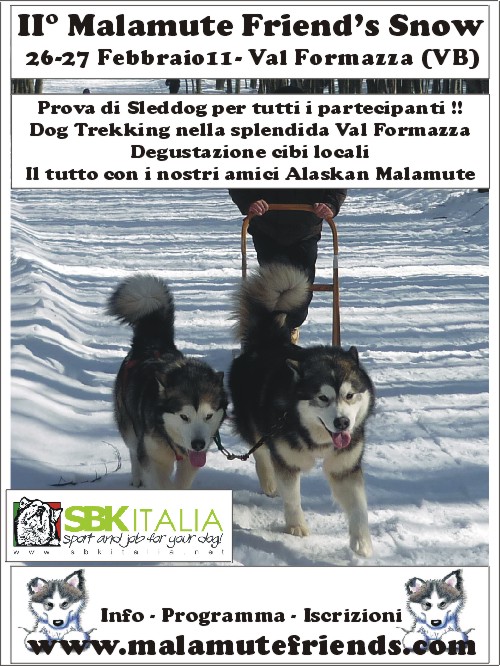 II° Malamute's Friends On The Snow Iionth10