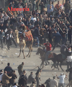 الجيش مصر في ورطة مع الشعب لا مع الحكومة لا والجمعة يوم الرحيل Animat25