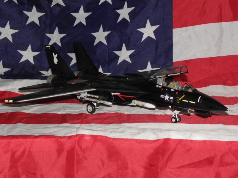 F 14 TOMCAT BLACK BUNNY 1/48 Revell P1310020