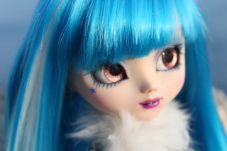 [JUN PLANNING / GROOVE] Pullip - Page 4 Img_1015