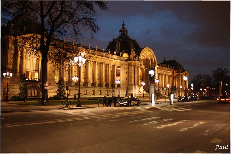 Grand Palais Paris (Janvier 2011) Grand_11