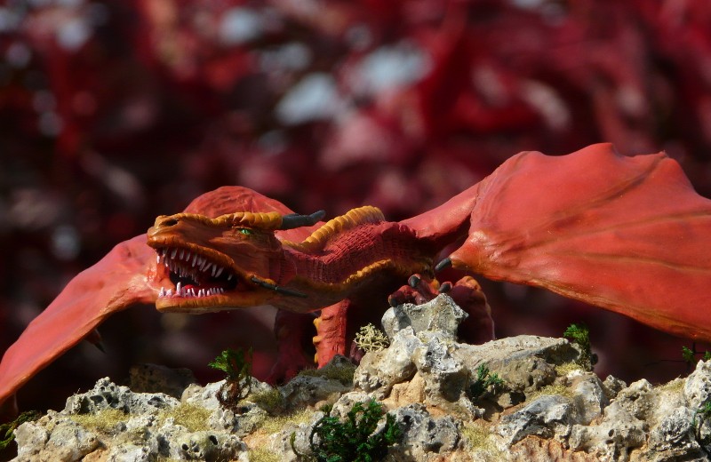 Dragon rouge Rouge411