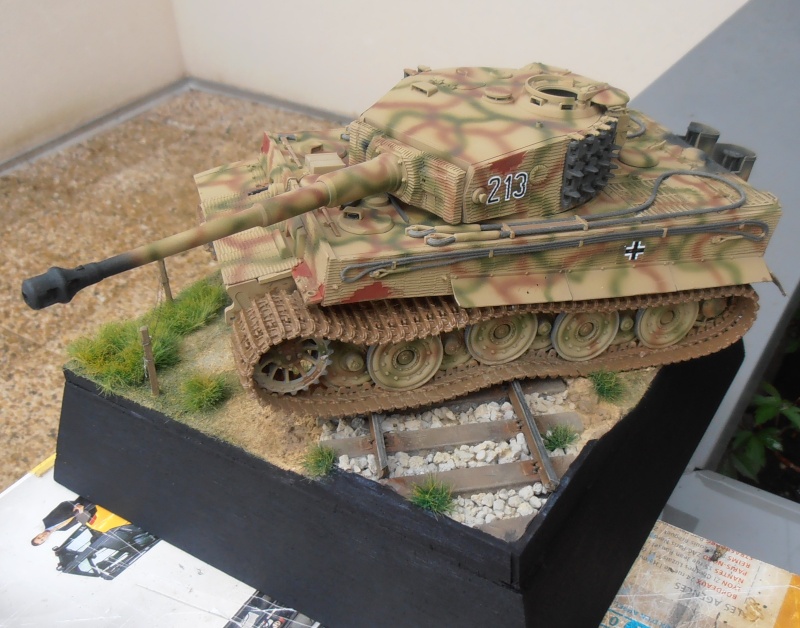 Tiger I ausf E  ( le diorama ) - Page 3 P4201710