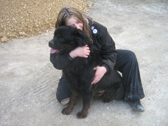 Sam Rottweiler à poils longs de 2 ans - Page 8 Chgi_011