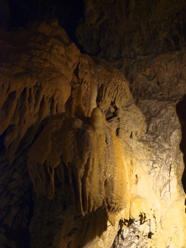grottes de Vallorbe (Suisse) _j017914
