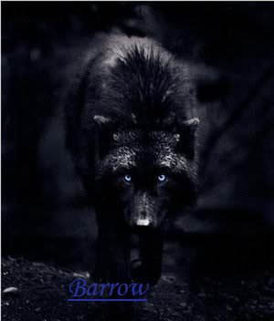 BARROW...tout un loup! Barrow14