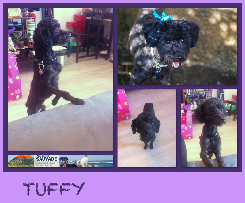 TUFFY (chez Sac à Puces) Tuffy10
