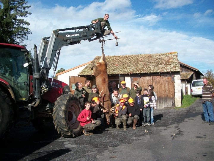 gros cerf  Untitl11