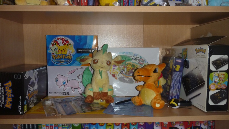 The Eldaddict Collection : Pokemon, Wonderswan & Japan Games INSIDE !  P1070013