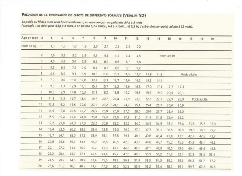 Courbe de croissance de l'Akita Tablea10