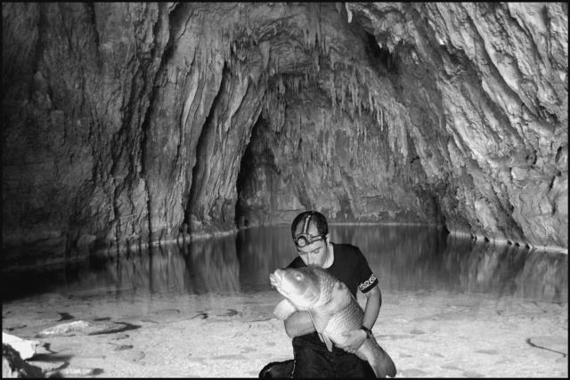 Luigi dans les profondeurs de la terre 26230510