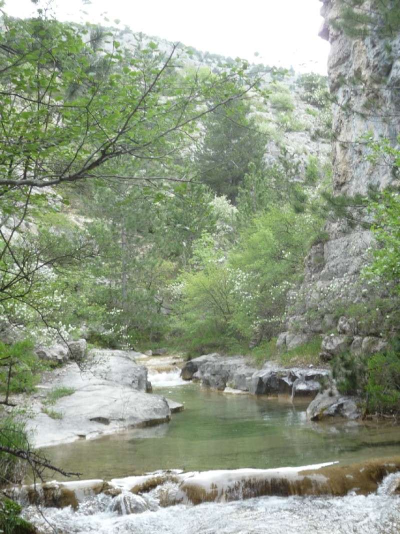 Re-sortie en Provence - Page 3 R310