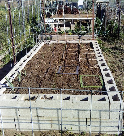 Monthly Avatar Theme March 2013: Your Garden In March! part 1 Bed13111
