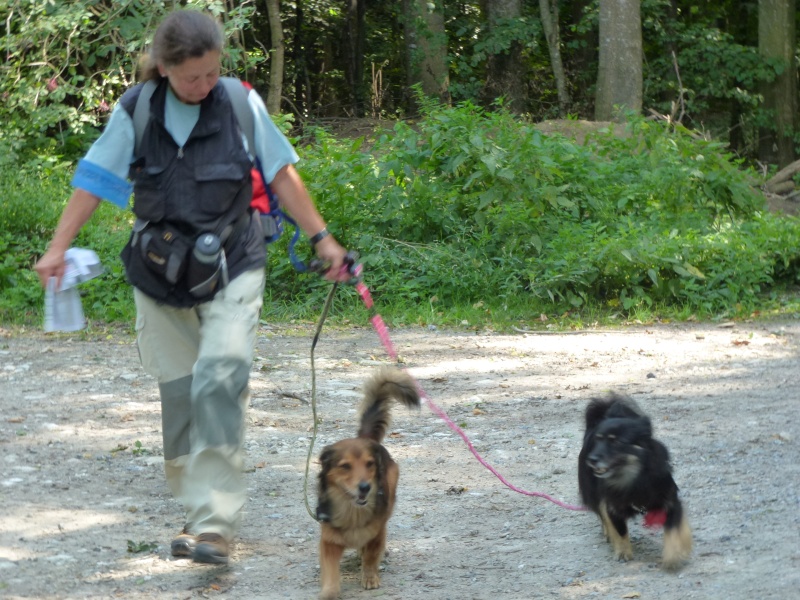 Pannonia Dogtrekking - Seite 5 P1020747