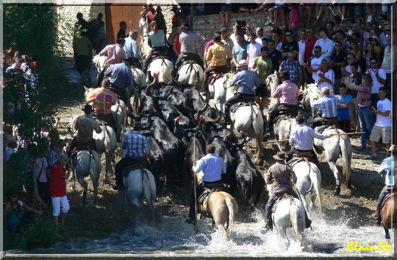 ABRIVADOS A QUISSAC Qui810