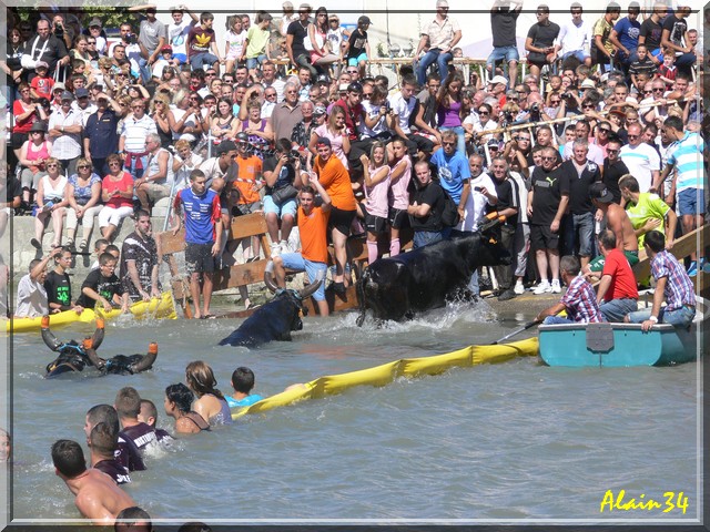 1er Septembre la St Gilles Sgi1110