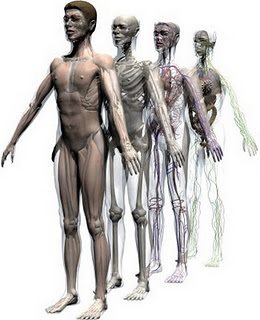 عشر حقائق مُذهلة عن الجسم البشري  C6e65710