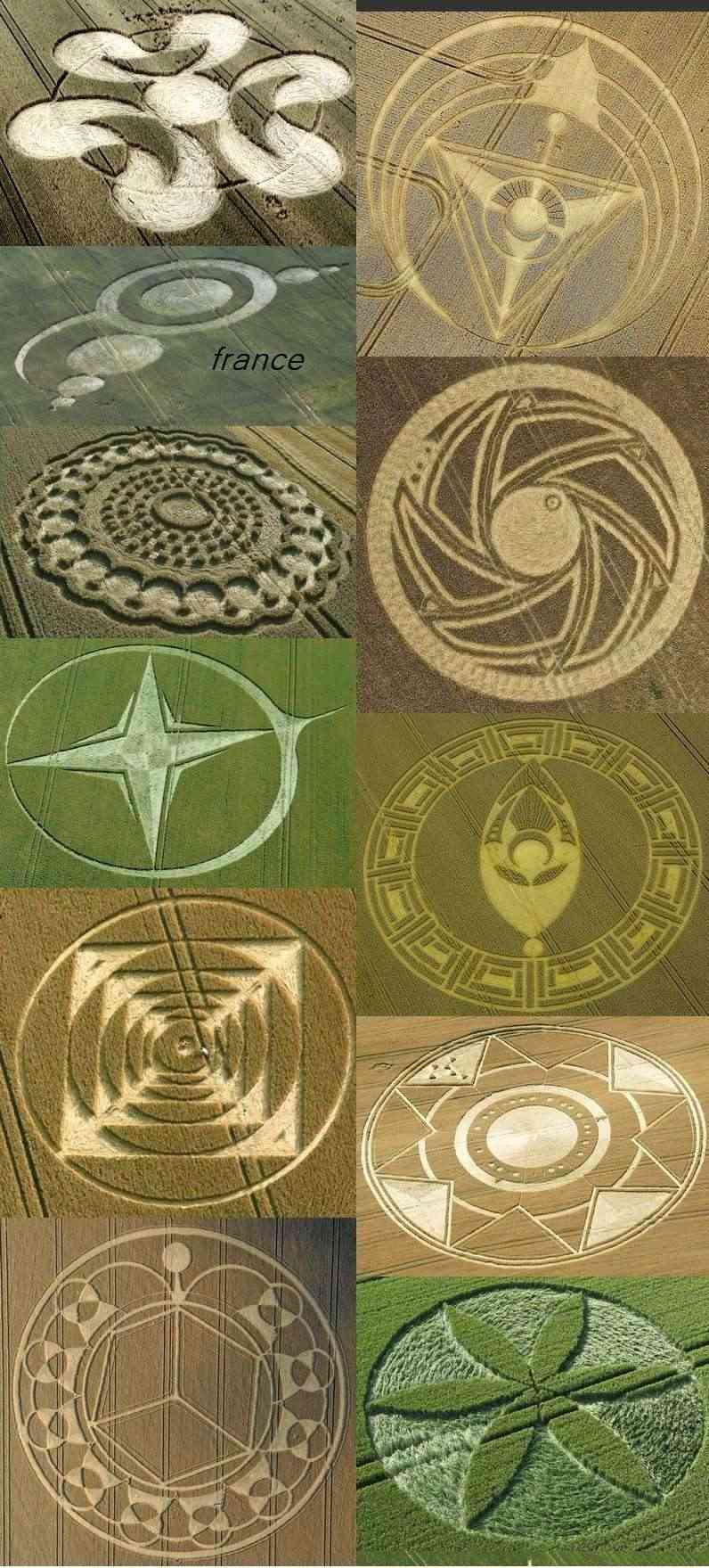 Crop Circles 2013 - Page 11 11111111