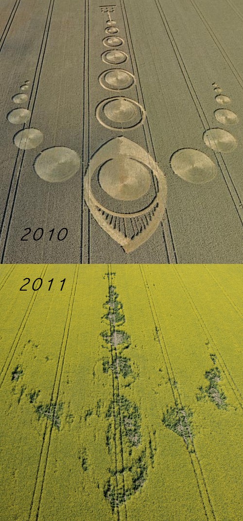 Crop Circles 2013. - Page 13 143-al10