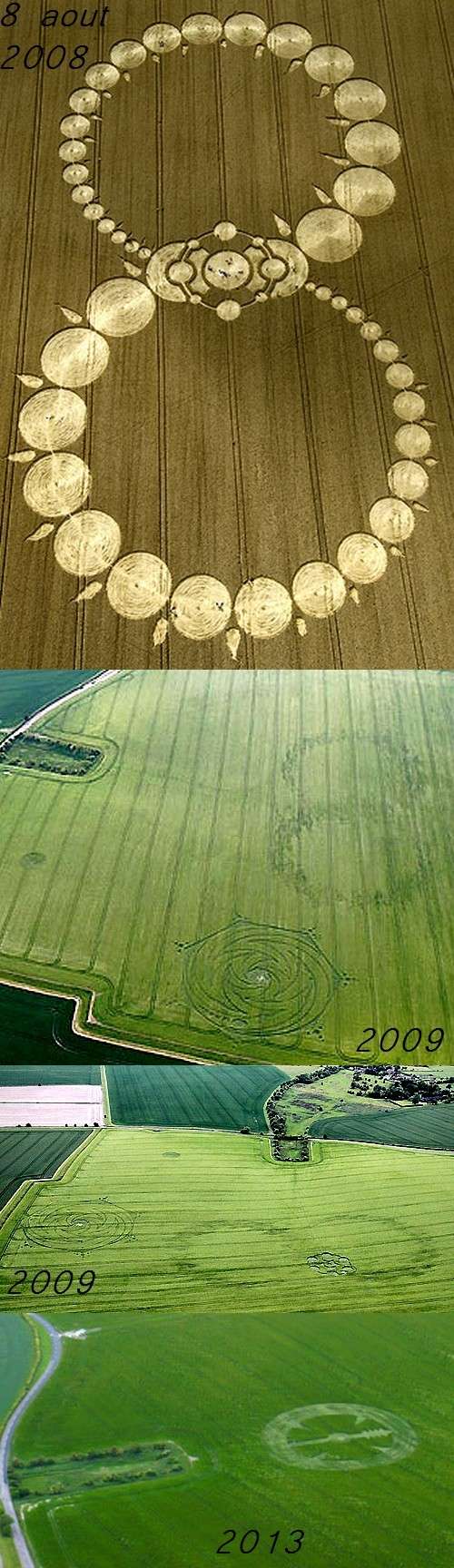 Crop Circles 2013. - Page 15 888811