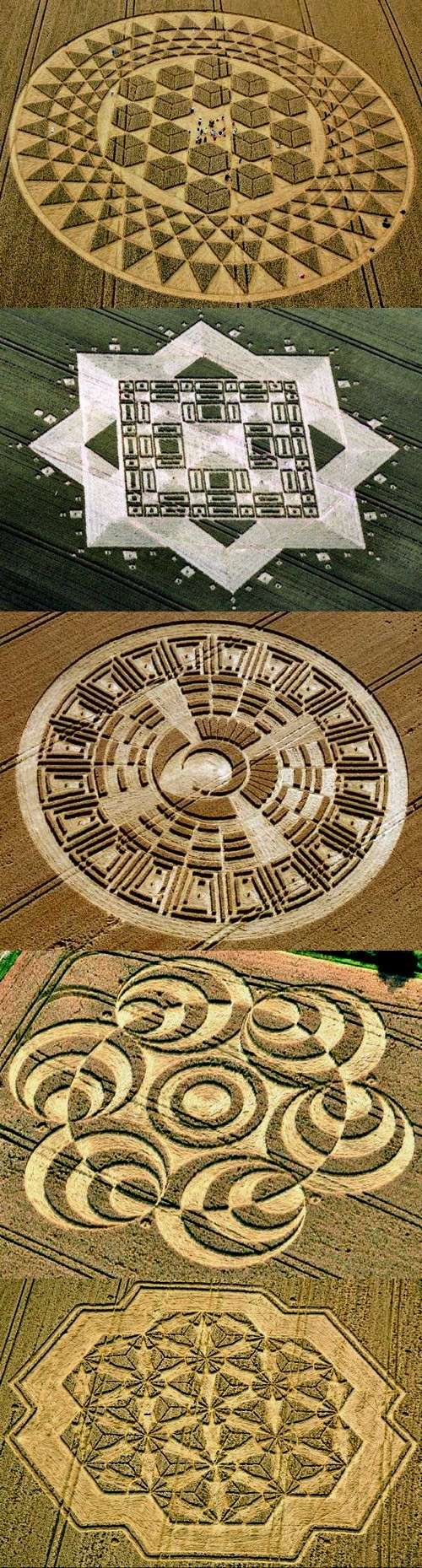 Crop Circles 2013. - Page 11 Uk200710