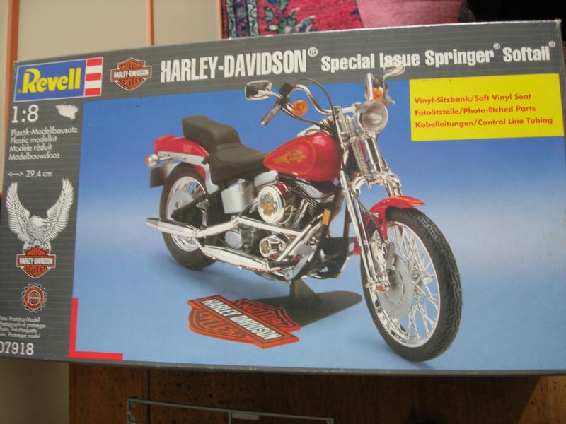 les kits Harleys - Page 2 Dscn2110