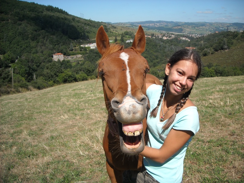 Vote de la photo "Complicité cavalier/cheval" Dscn5210