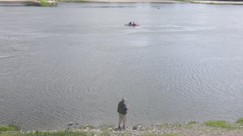 Safari Photo sur les Bords de Loire... 0410